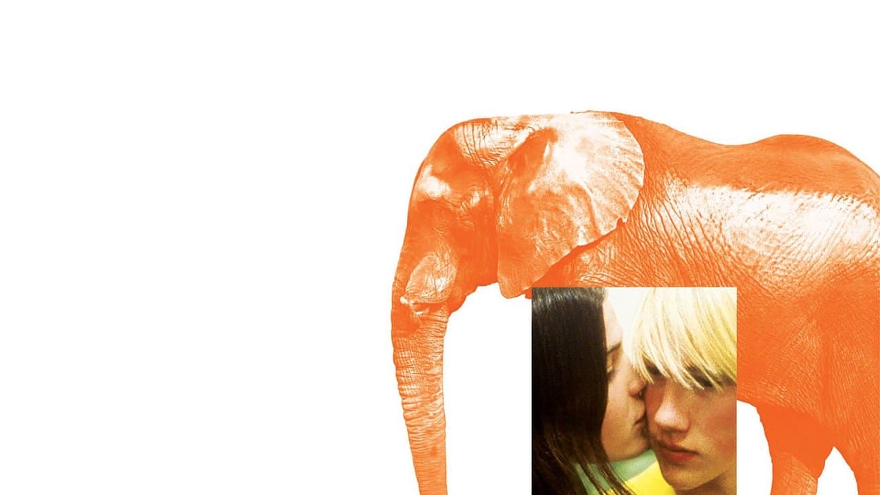 Elephant backdrop