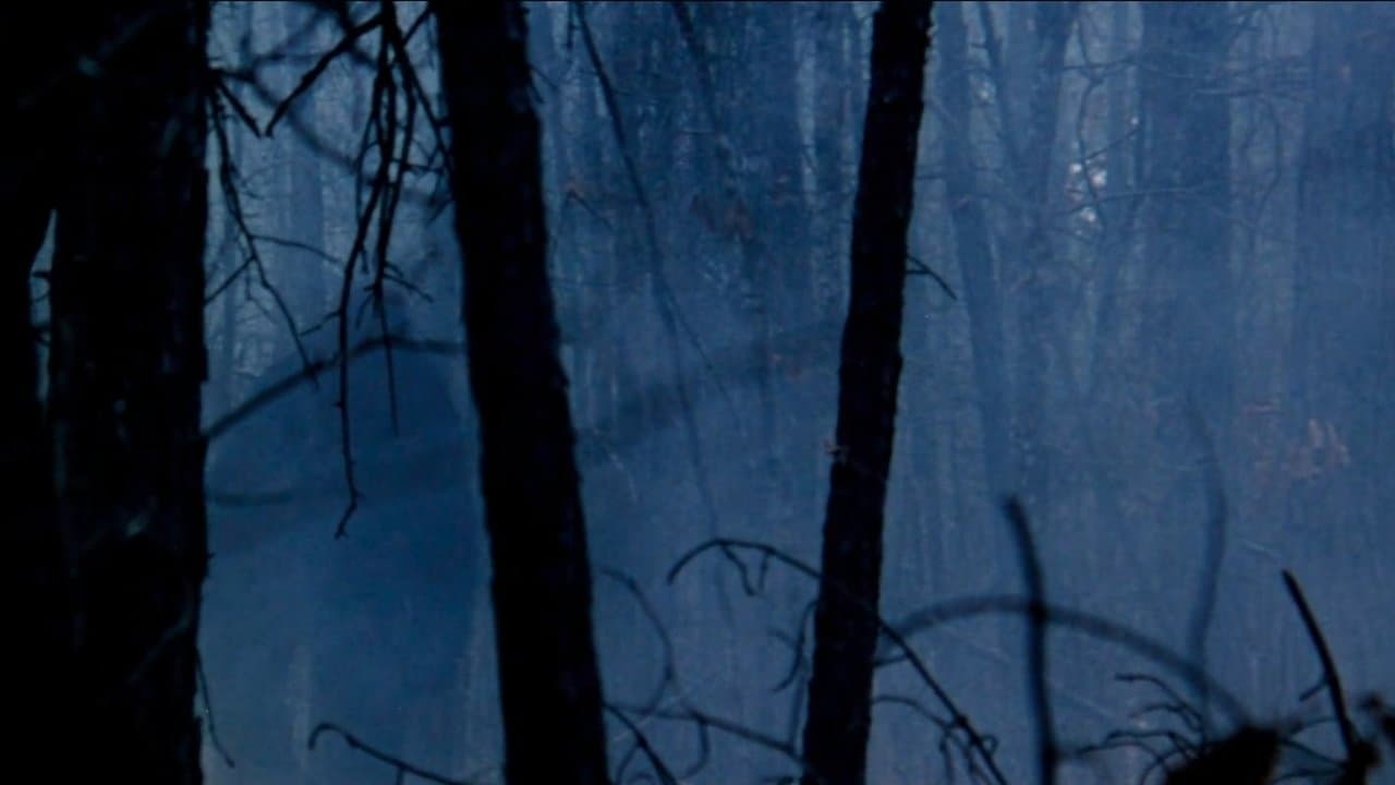The Legend of Boggy Creek backdrop