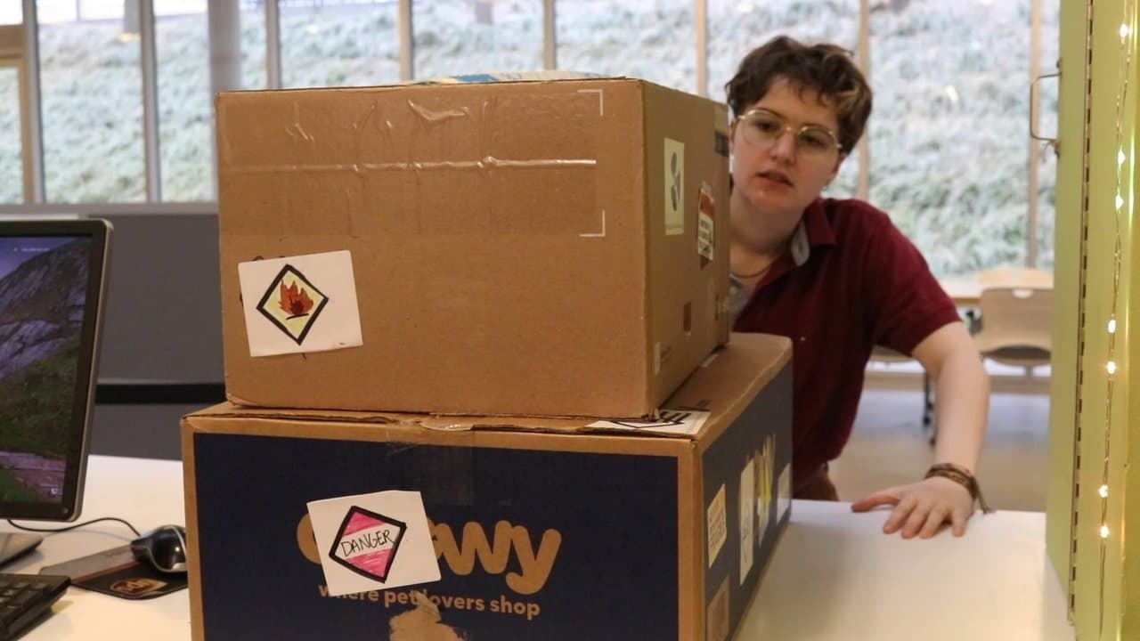 Unboxing backdrop
