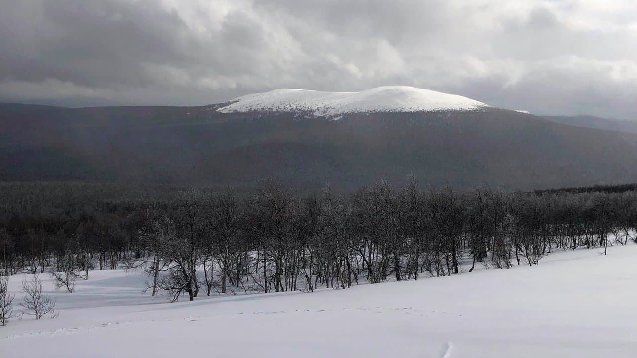 The Dyatlov Pass Incident backdrop