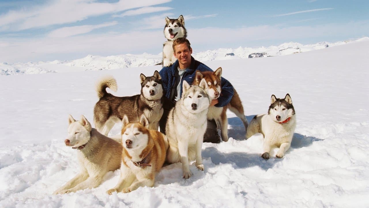 Eight Below backdrop