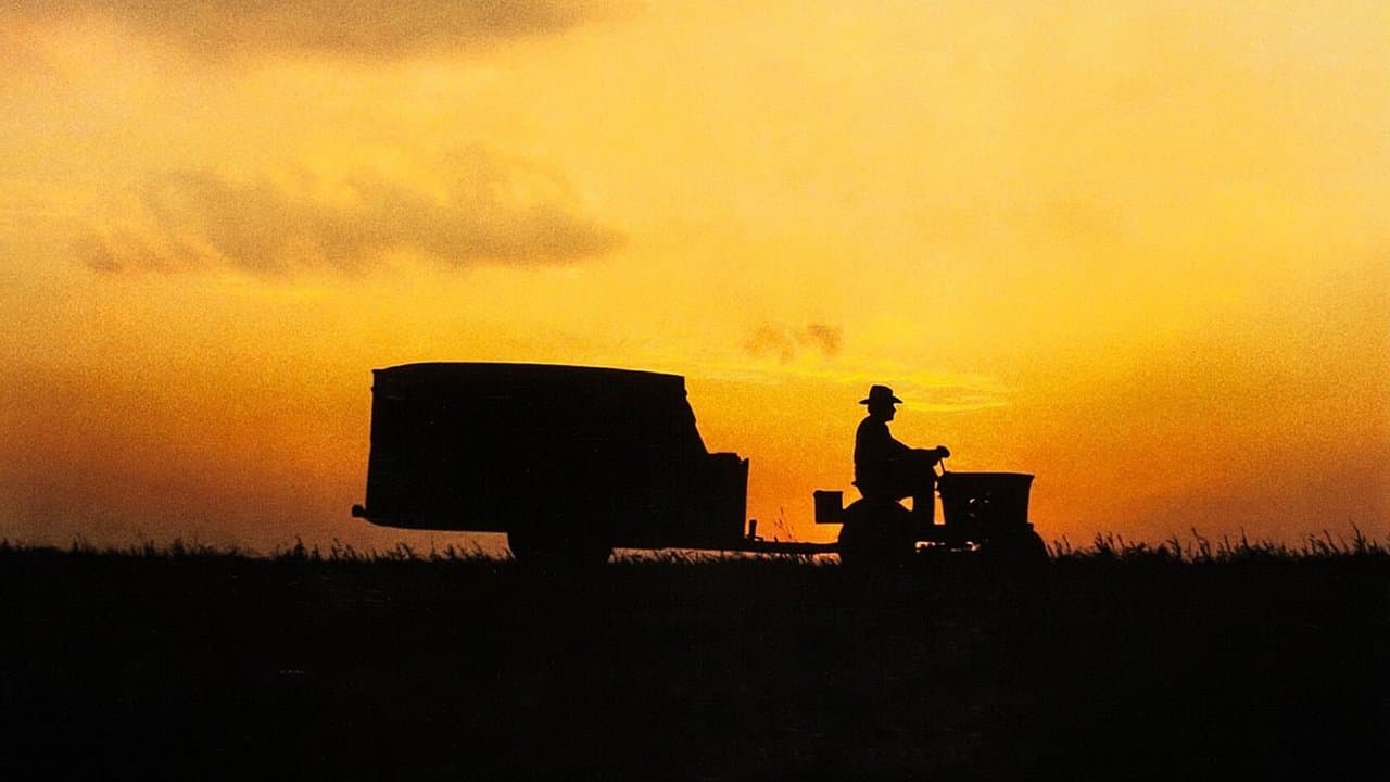 The Straight Story backdrop