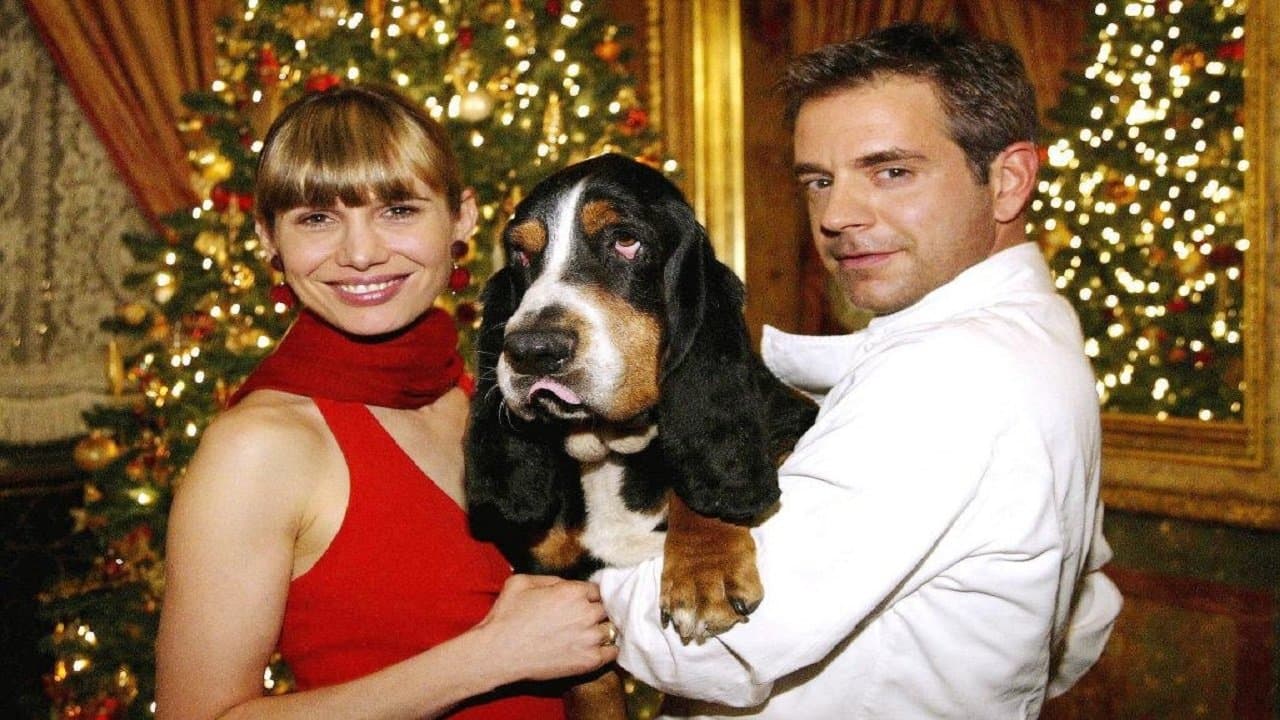 Der Weihnachtshund backdrop