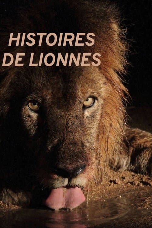 Histoires de lionnes poster