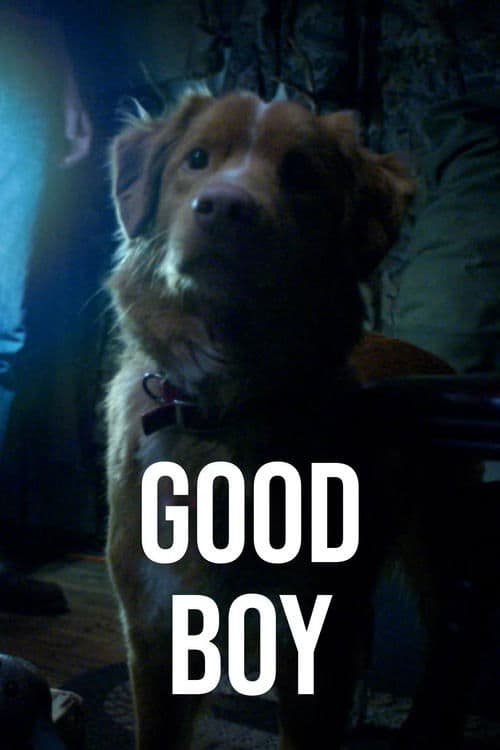 Good Boy poster