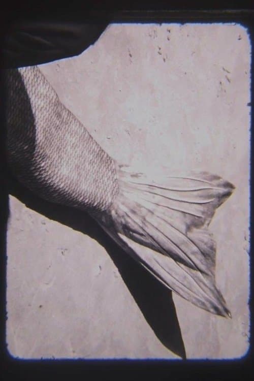 MER poster
