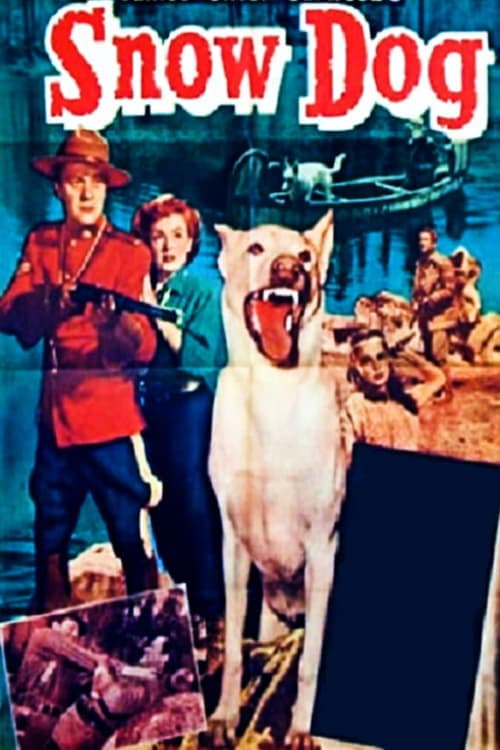 Snow Dog poster