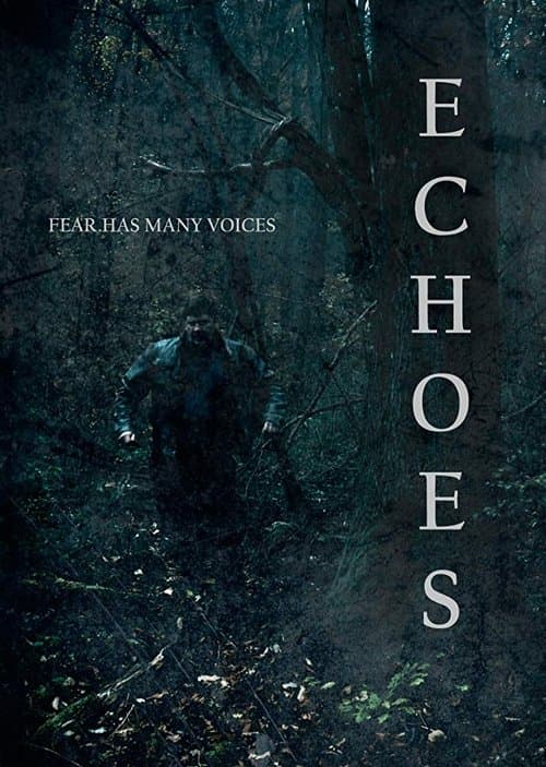 Echoes poster