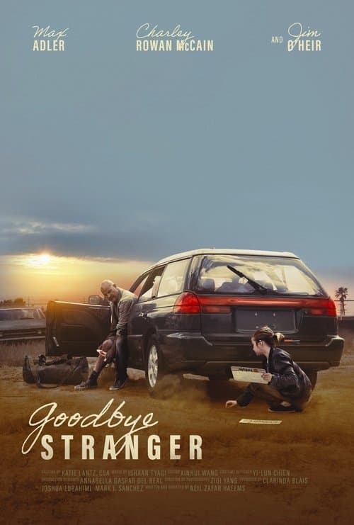 Goodbye Stranger poster
