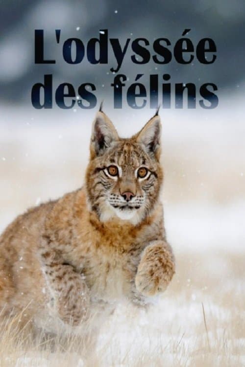 The Odyssey Of Felines poster