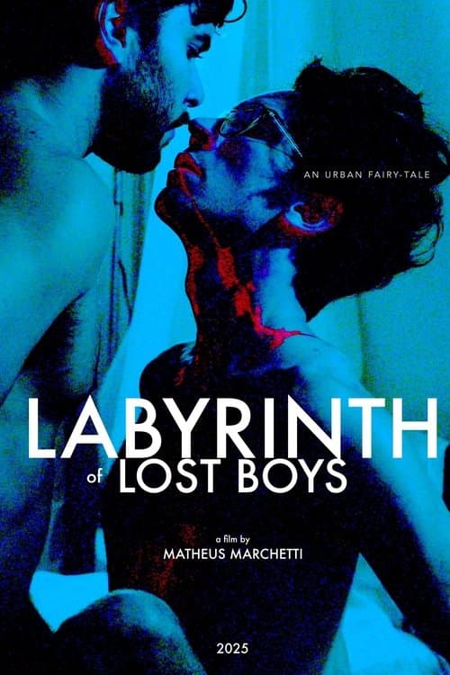 Labyrinth of Lost Boys poster