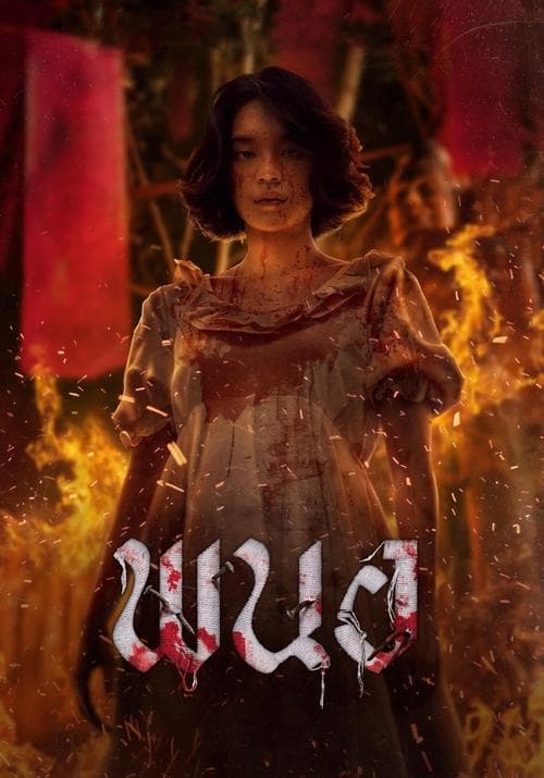 Panor poster