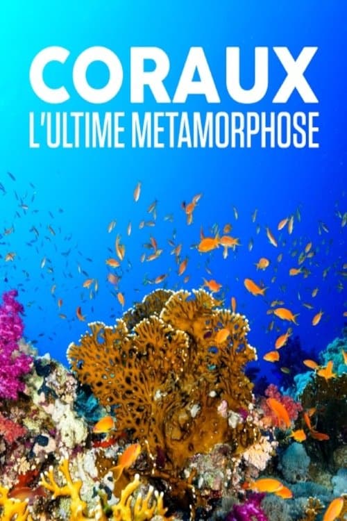 Coraux, l'ultime métamorphose poster