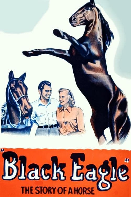 Black Eagle poster