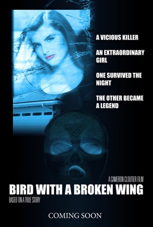 Bird with a broken wing poster