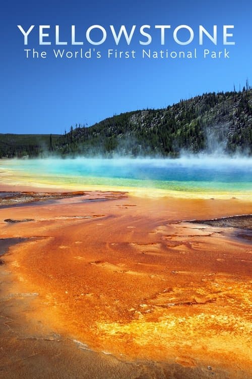 National Parks Exploration Series: Yellowstone poster