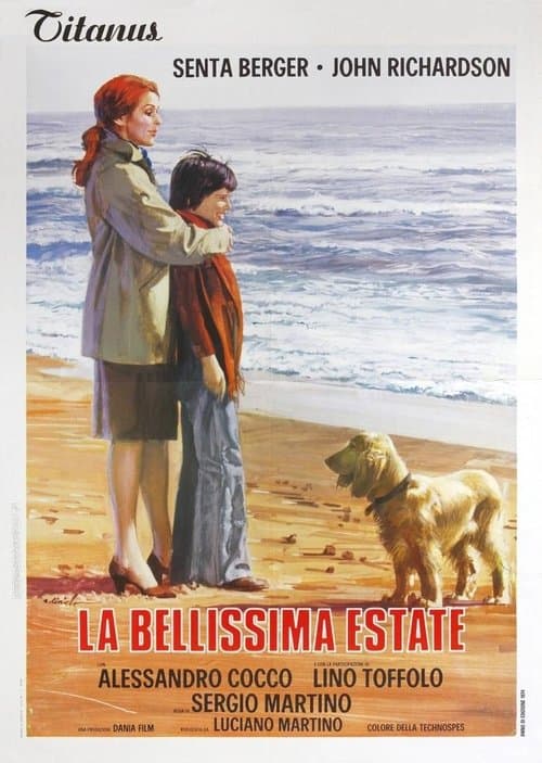 The Beautiful Summer poster
