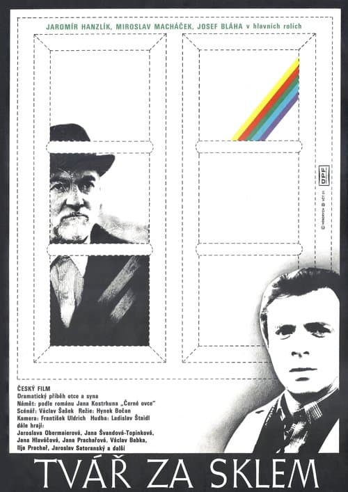 Tvář za sklem poster