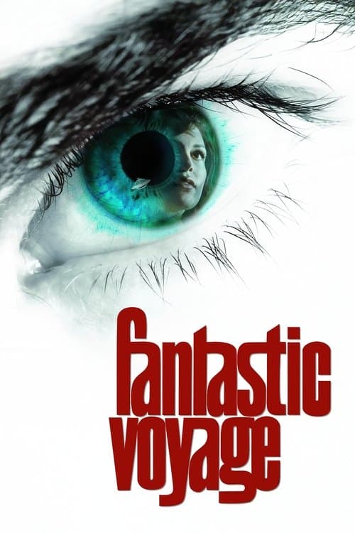 Fantastic Voyage poster